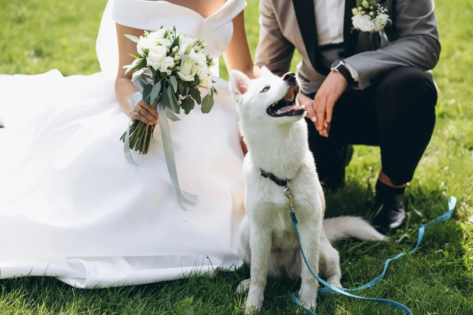 Stress-Free Tips for Weaving Your Dog Into Your Wedding Day. Mobile Image