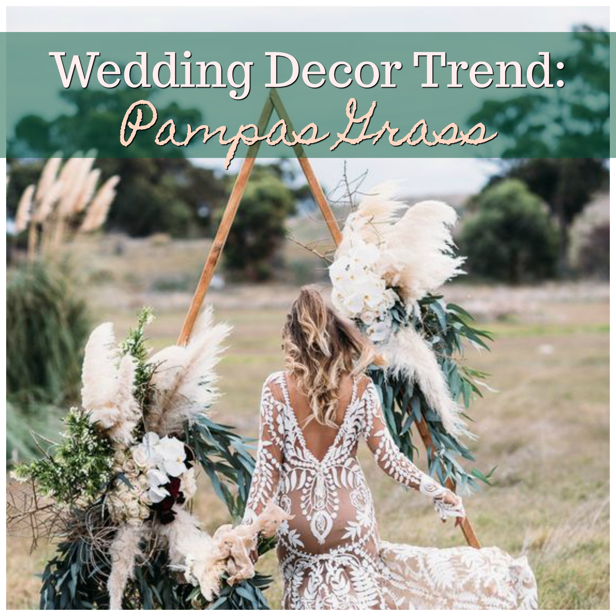 Wedding Decor Trend: Pampas Grass. Desktop Image