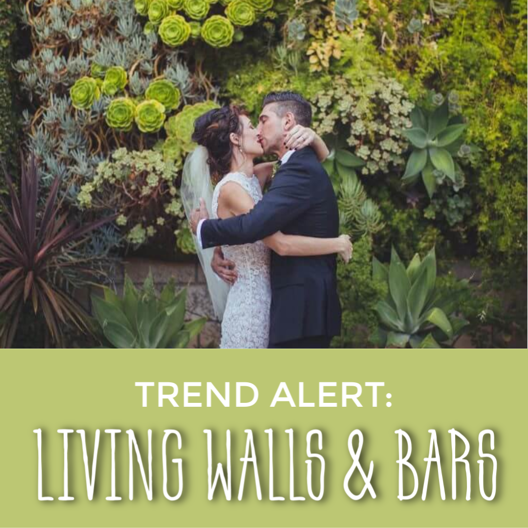 TREND ALERT: Living Walls &amp; Bars. Desktop Image