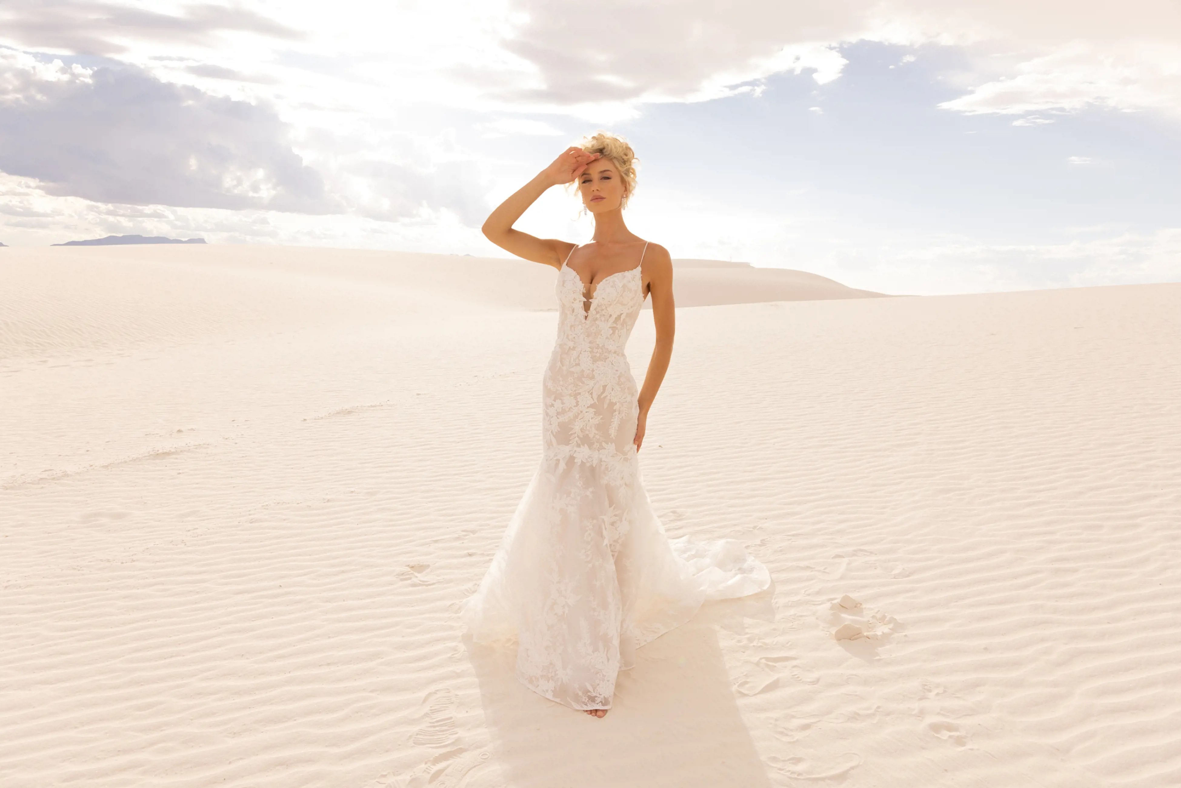 Upcoming Jimme Huang Event! Image